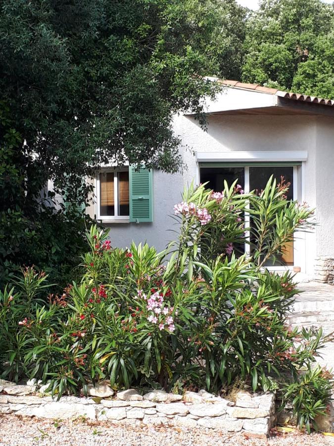Gite Acellu بونيفَسْيو المظهر الخارجي الصورة