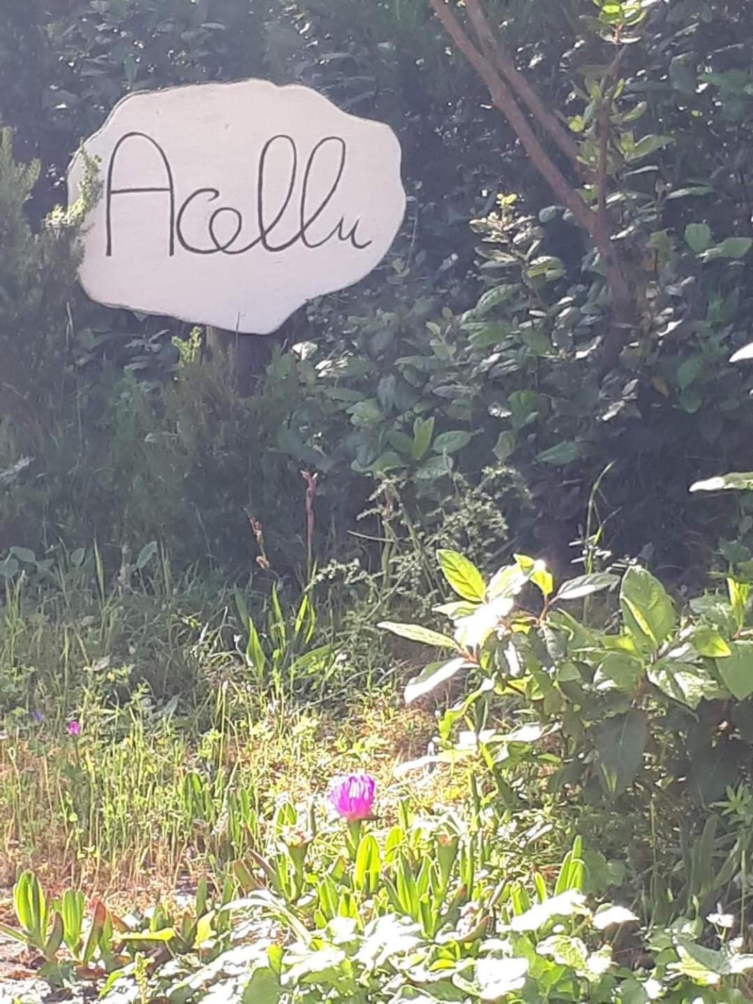 Gite Acellu بونيفَسْيو المظهر الخارجي الصورة